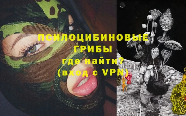 соль ск Ладушкин